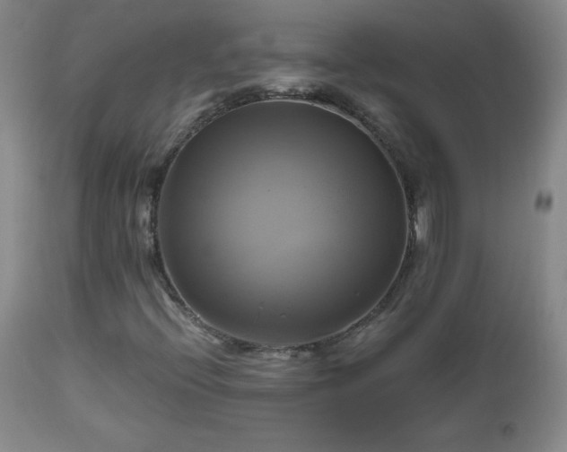 X0000112971396200909031034