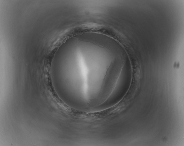 X0000112971397200909031034