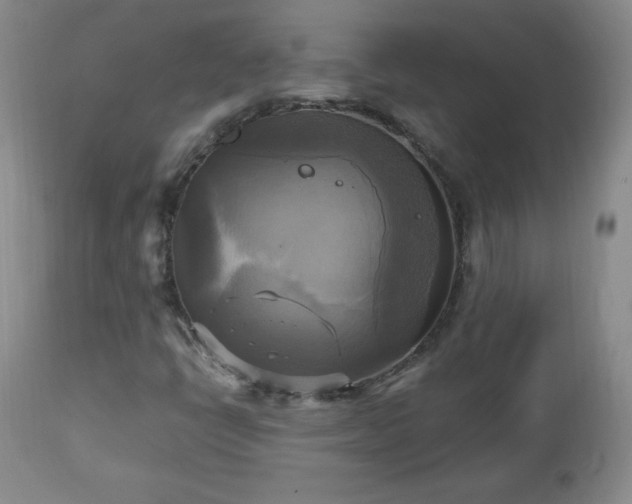 X0000112971398200909031034