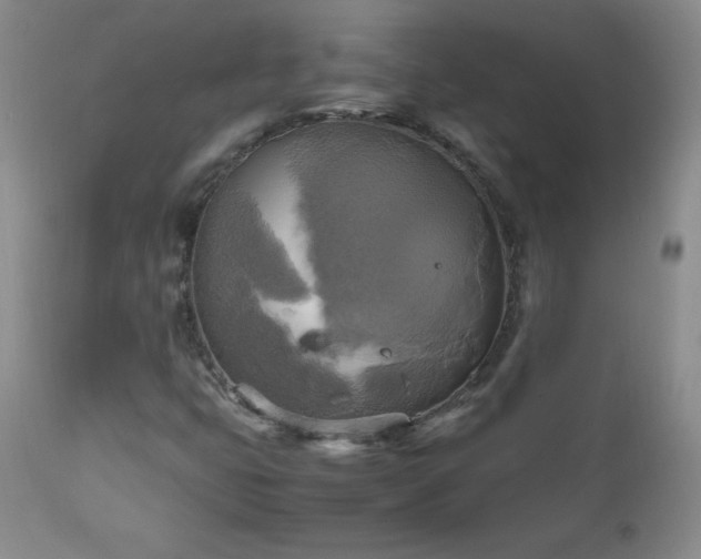 X0000112971399200909031034