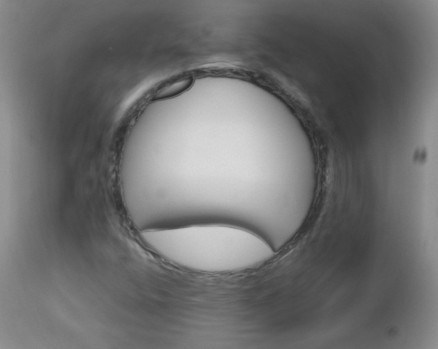 X0000112971400200909031034