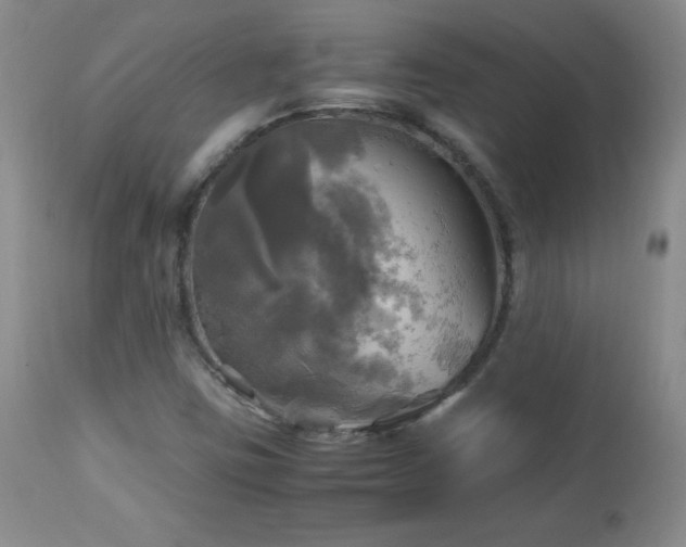 X0000112971403200909031034