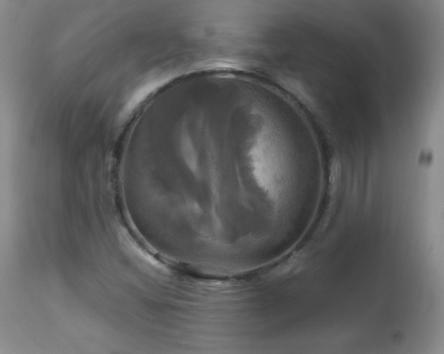 X0000112971404200909031034