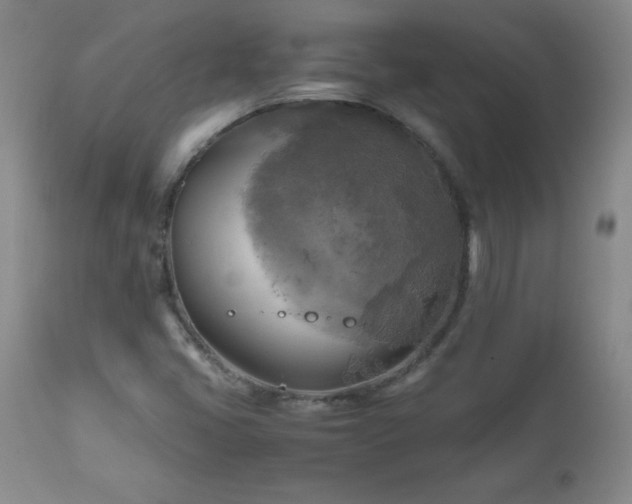 X0000112971405200909031034