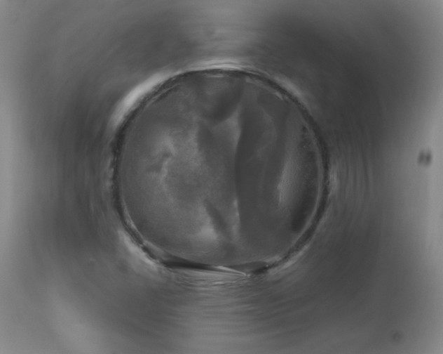 X0000112971406200909031034