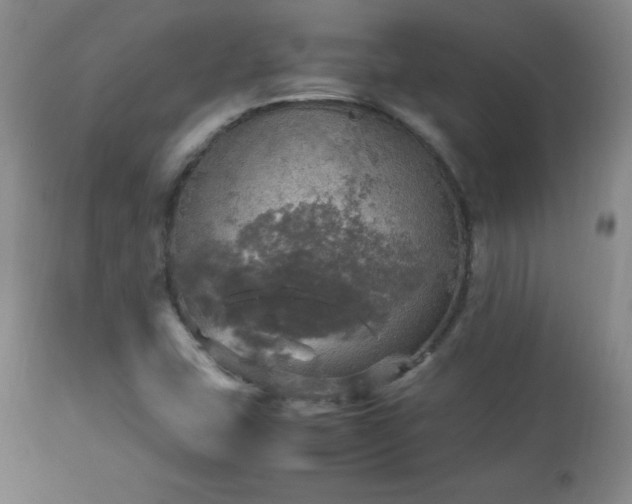 X0000112971407200909031035