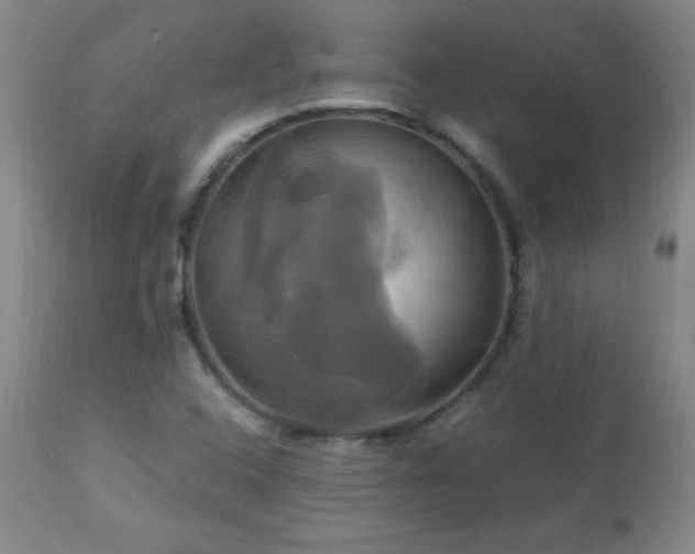 X0000112971408200909031035