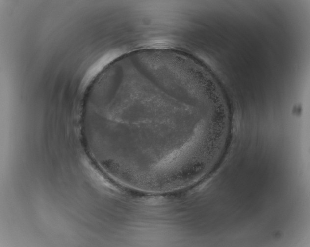 X0000112971410200909031035