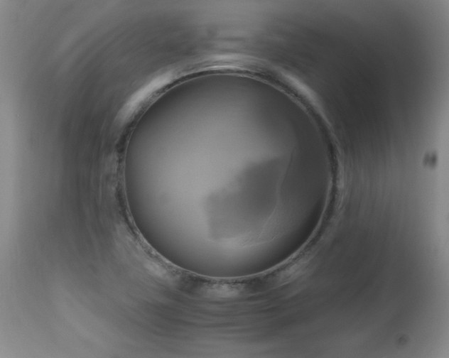 X0000112971411200909031035