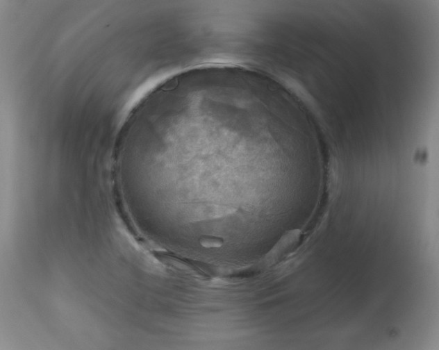 X0000112971412200909031035