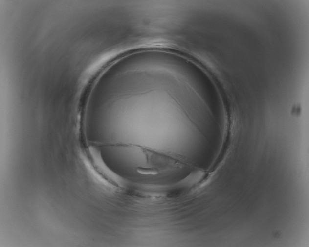 X0000112971414200909031035