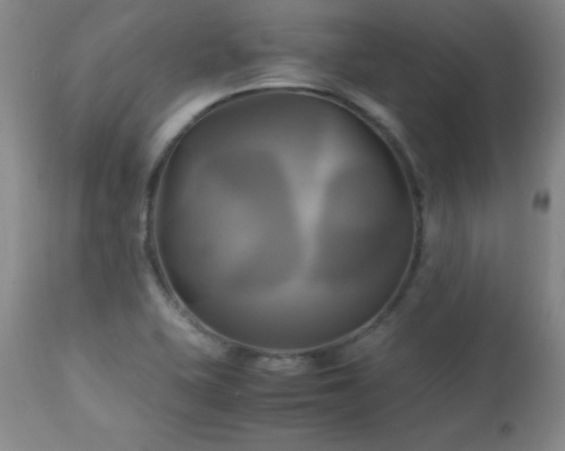 X0000112971415200909031035