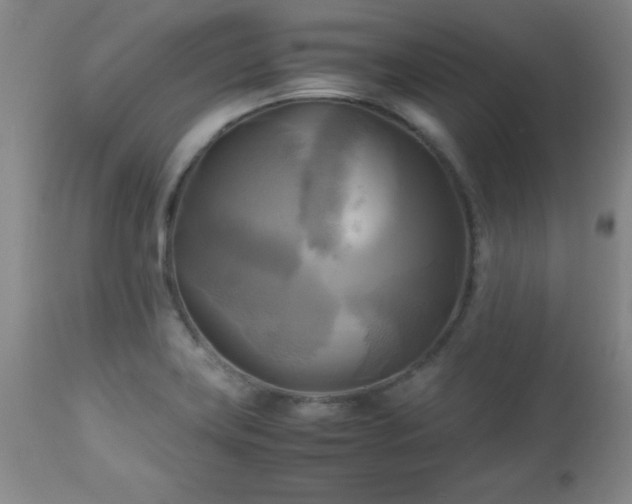 X0000112971419200909031035