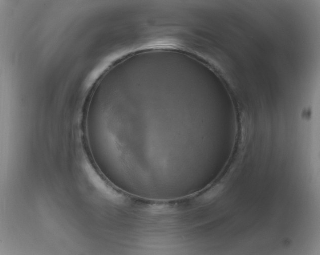 X0000112971422200909031035