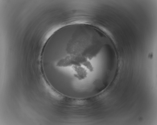 X0000112971423200909031035