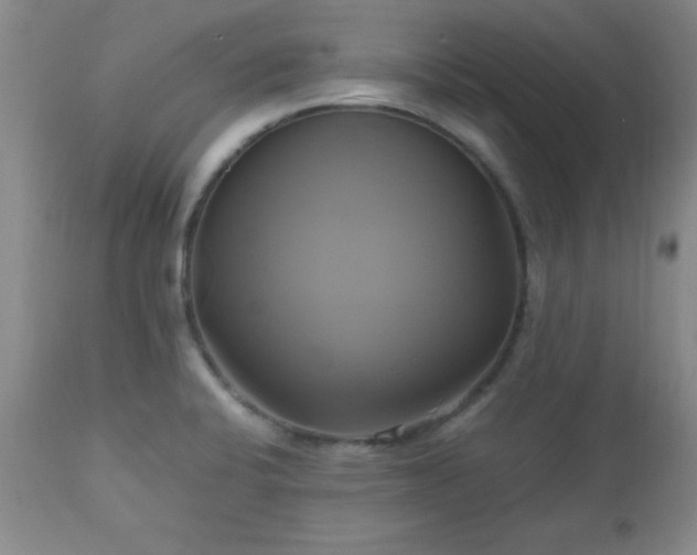 X0000112971424200909031035