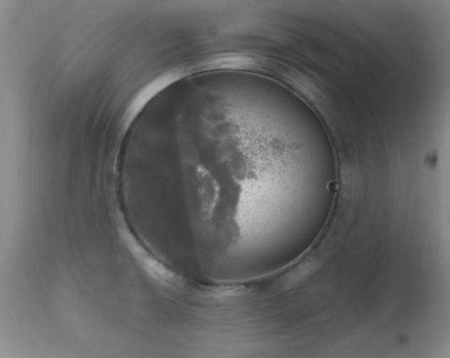 X0000112971426200909031035