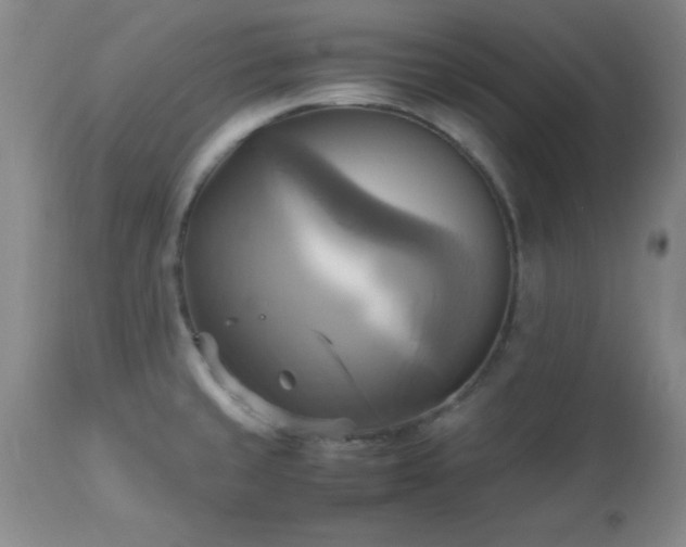 X0000112971429200909031035