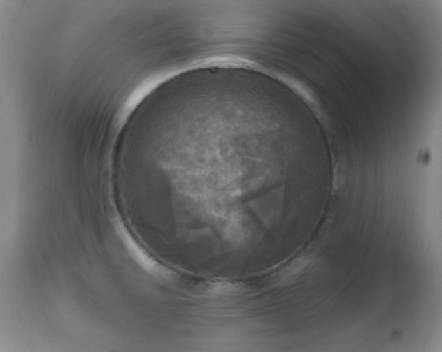 X0000112971430200909031035