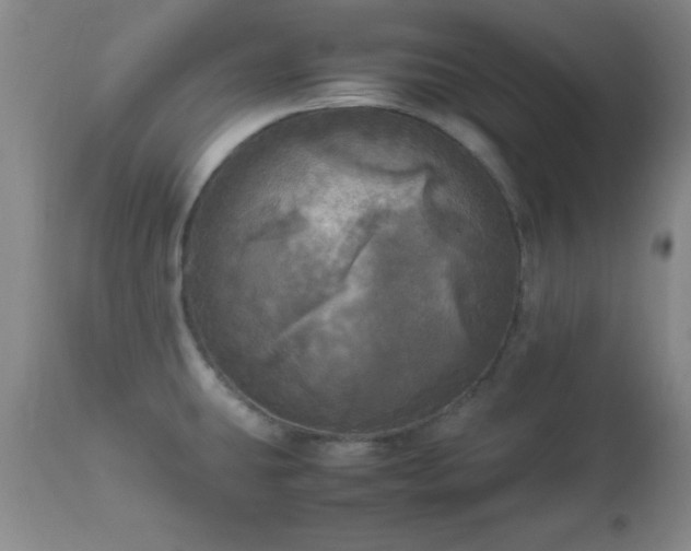 X0000112971431200909031035