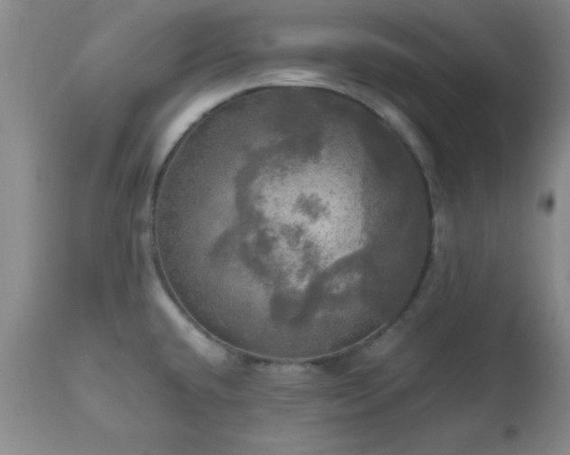 X0000112971432200909031035