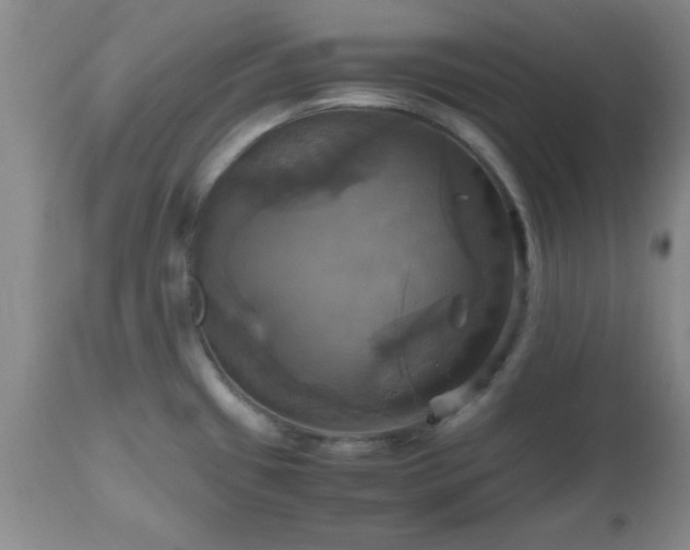 X0000112971433200909031035