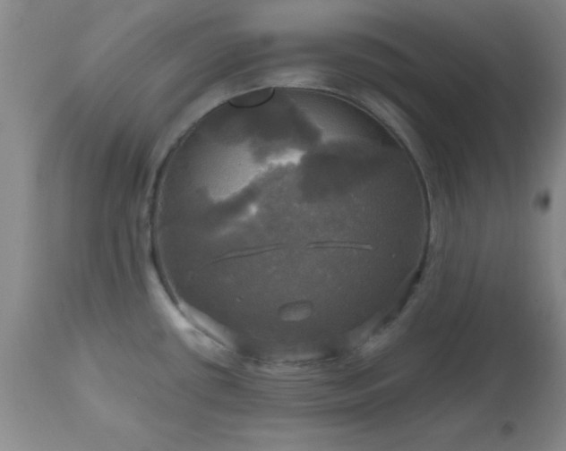 X0000112971434200909031035