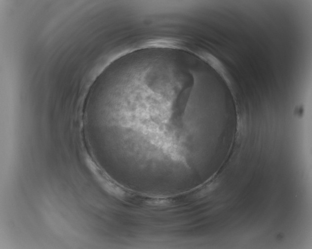 X0000112971435200909031035