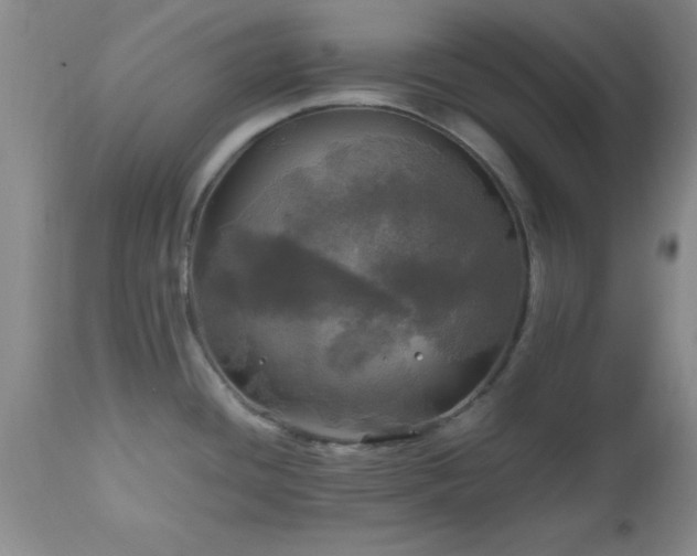 X0000112971436200909031035