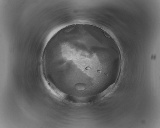 X0000112971440200909031035