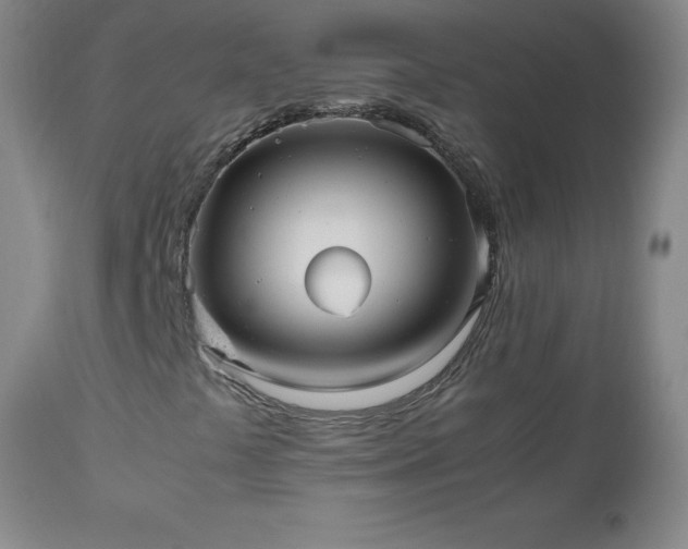 X0000112971441200909031034