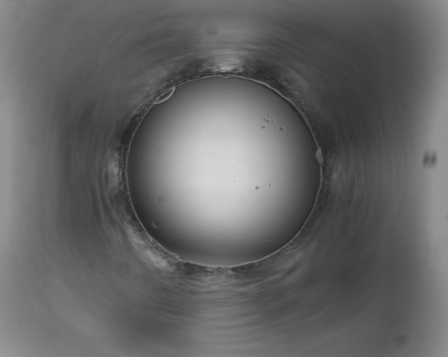 X0000112971442200909031034