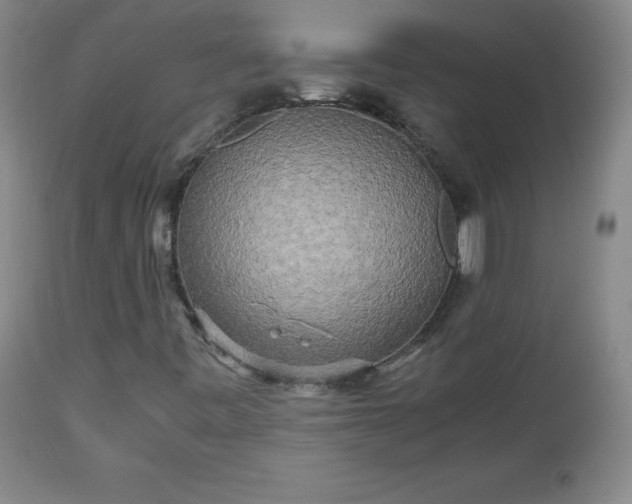 X0000112971443200909031034