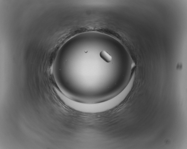 X0000112971444200909031034