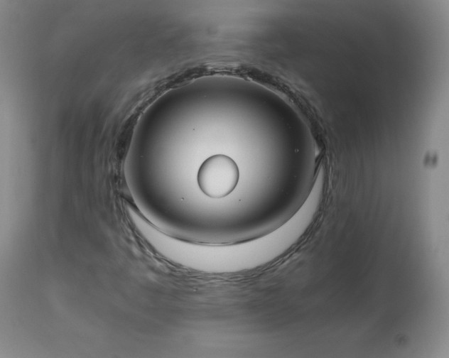 X0000112971445200909031034