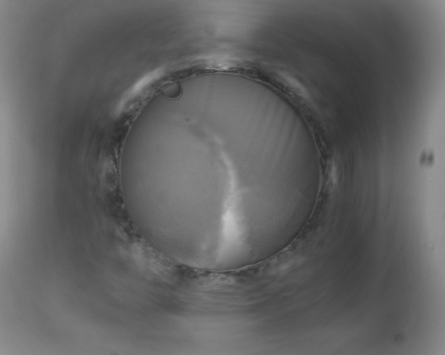 X0000112971446200909031034