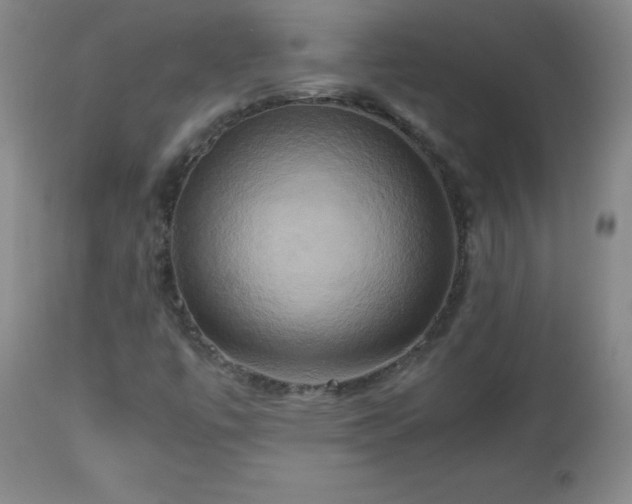 X0000112971447200909031034