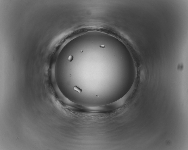 X0000112971448200909031034