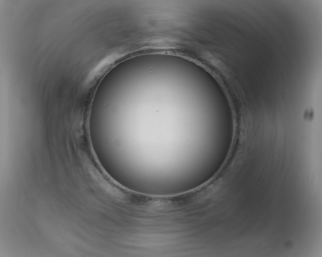 X0000112971451200909031034