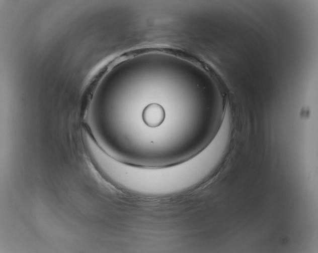 X0000112971452200909031034