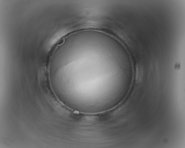 X0000112971453200909031034