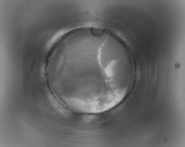 X0000112971454200909031034