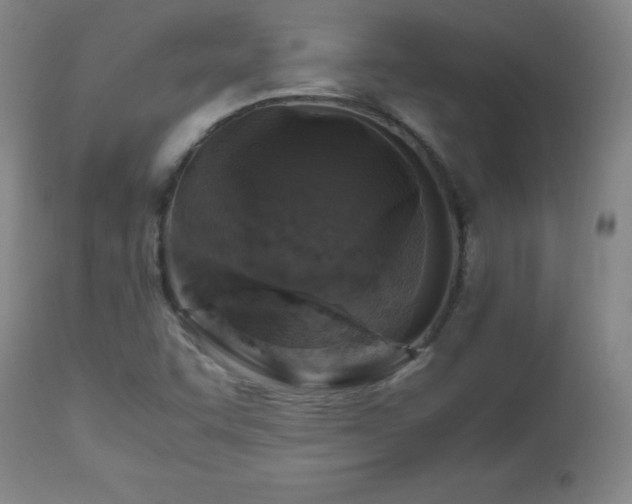 X0000112971455200909031034