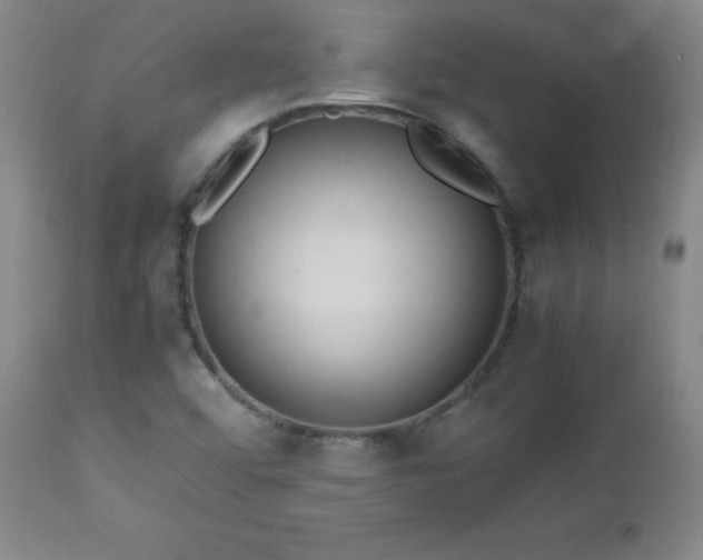 X0000112971456200909031034