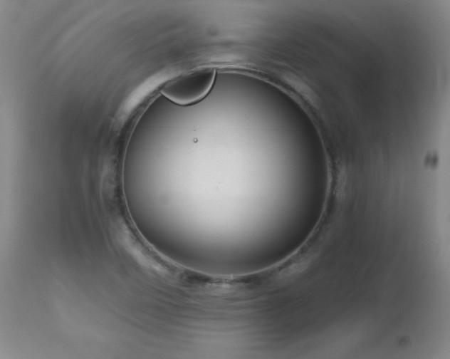 X0000112971458200909031034