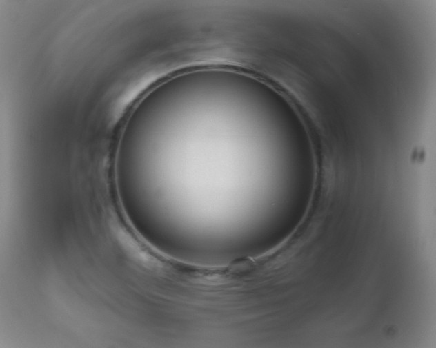 X0000112971460200909031034