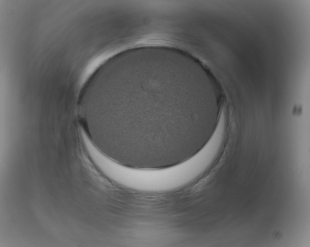 X0000112971461200909031034