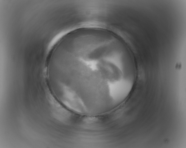 X0000112971462200909031034