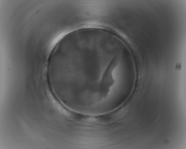 X0000112971463200909031034