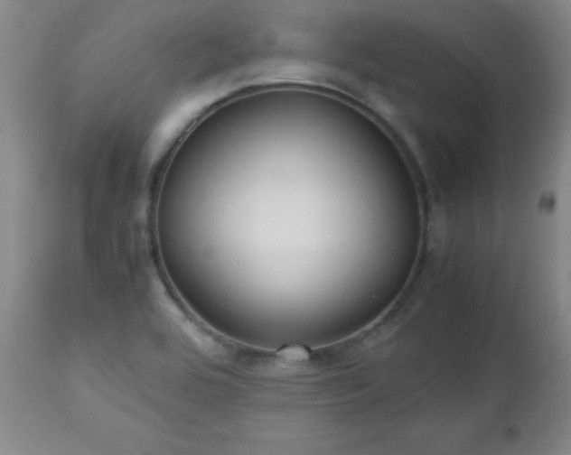 X0000112971464200909031034